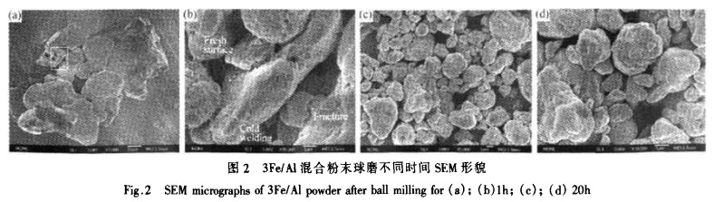 3Fe-Al混合粉末球磨不同時(shí)間SEM形貌 3Fe-Al混合粉末球磨不同時(shí)間SEM形貌